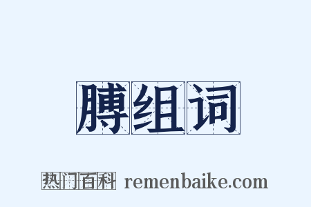膊组词是什么意思的图片